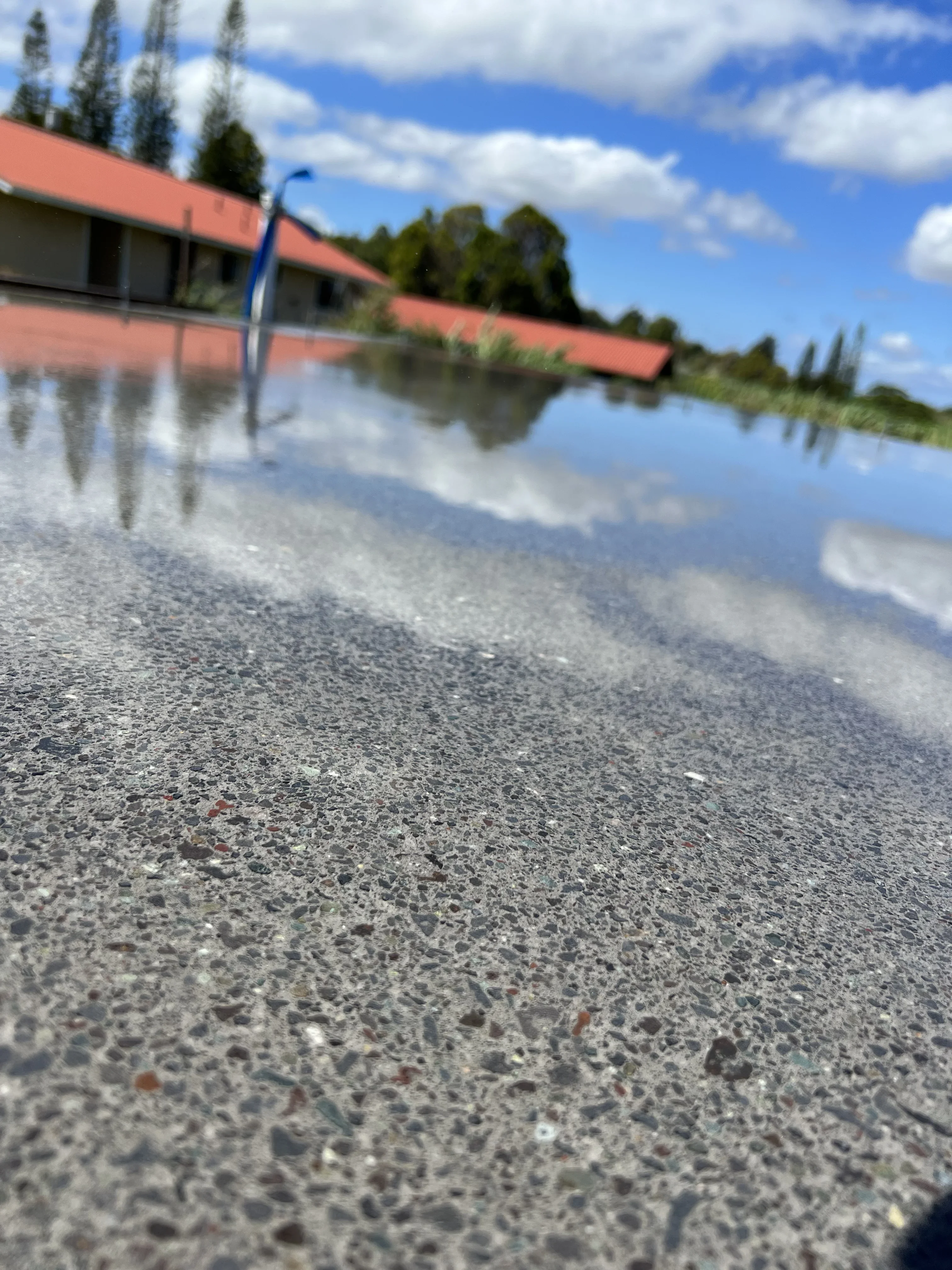 Polished concrete pool deck with water reflection and tropical landscaping